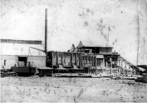 Early Charters Towers industry