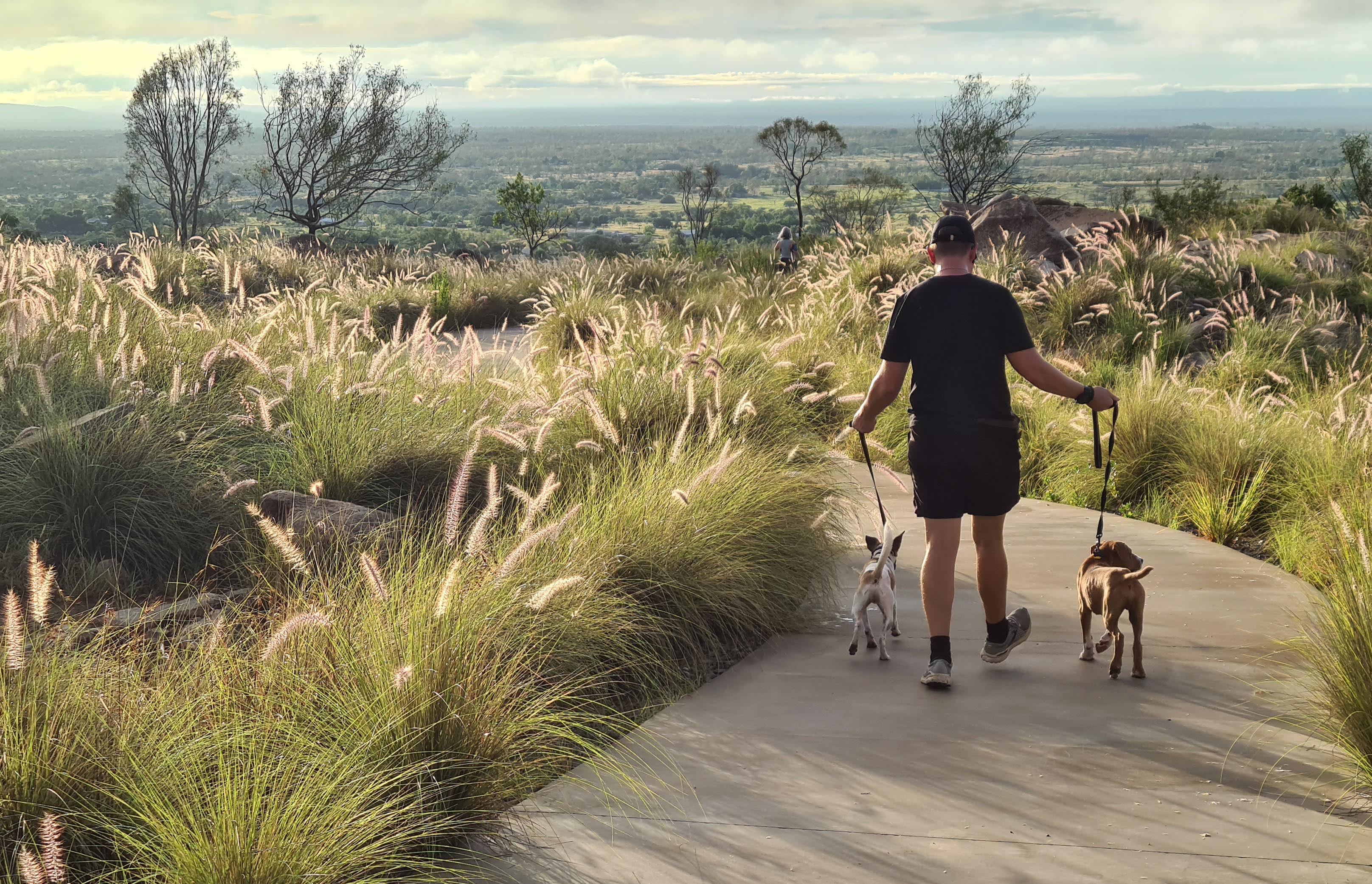 Towers Hill Walking Track