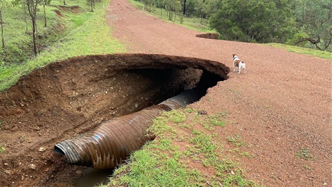 Flood damage.jpg