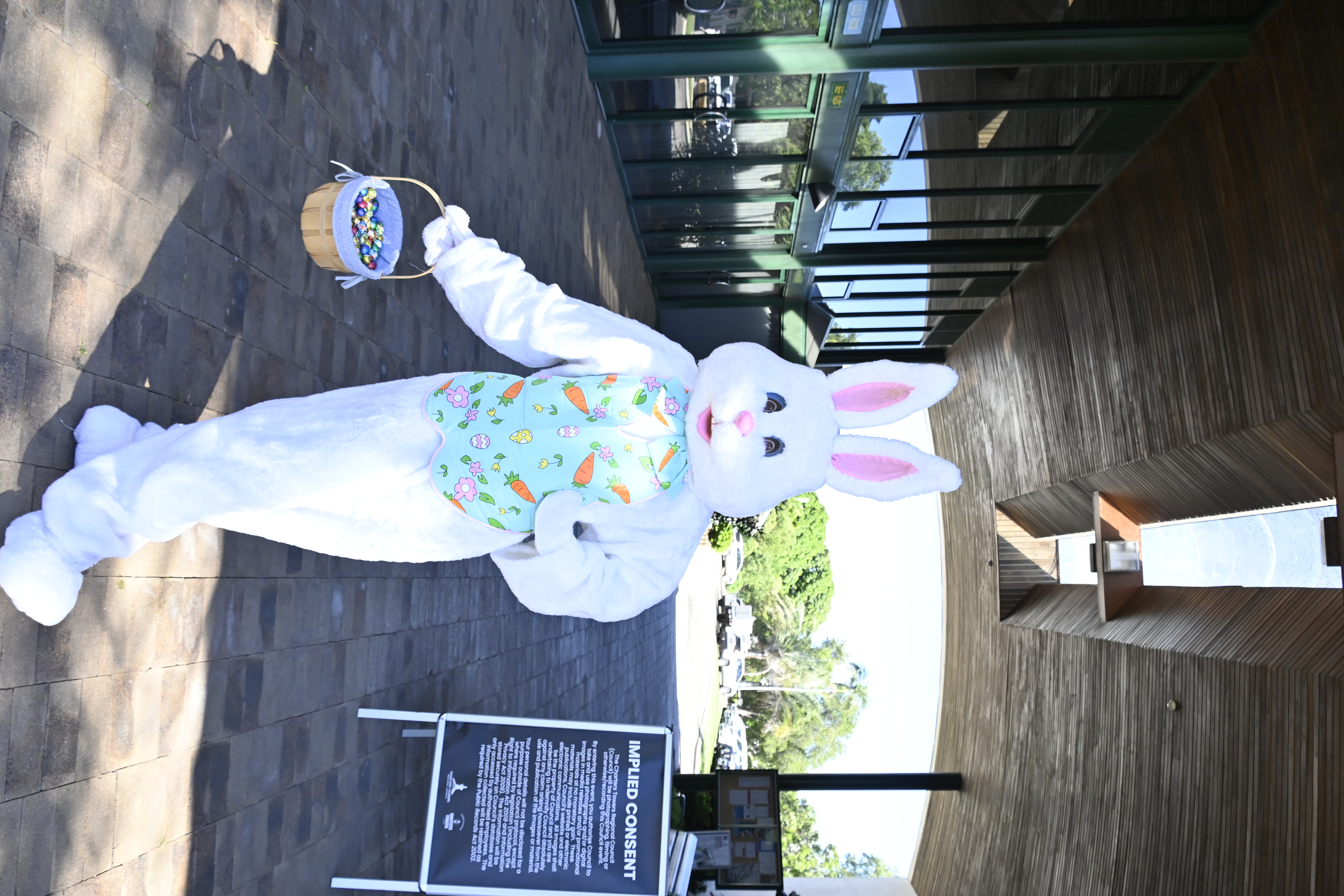 2025 Easter Bunny Photos